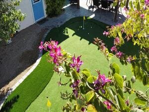 Landscape and Design in Phoenix