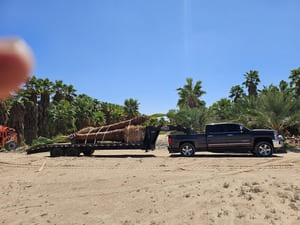 {{ custom_values.service_2 }} in {{custom_values.area_2})