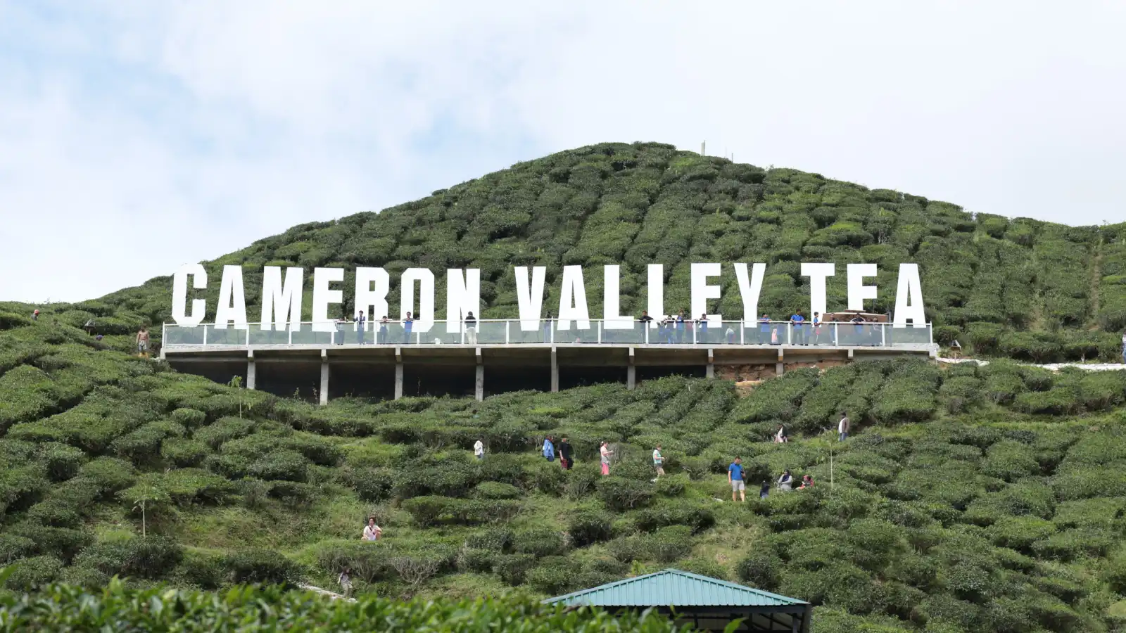 كاميرون كاميرون