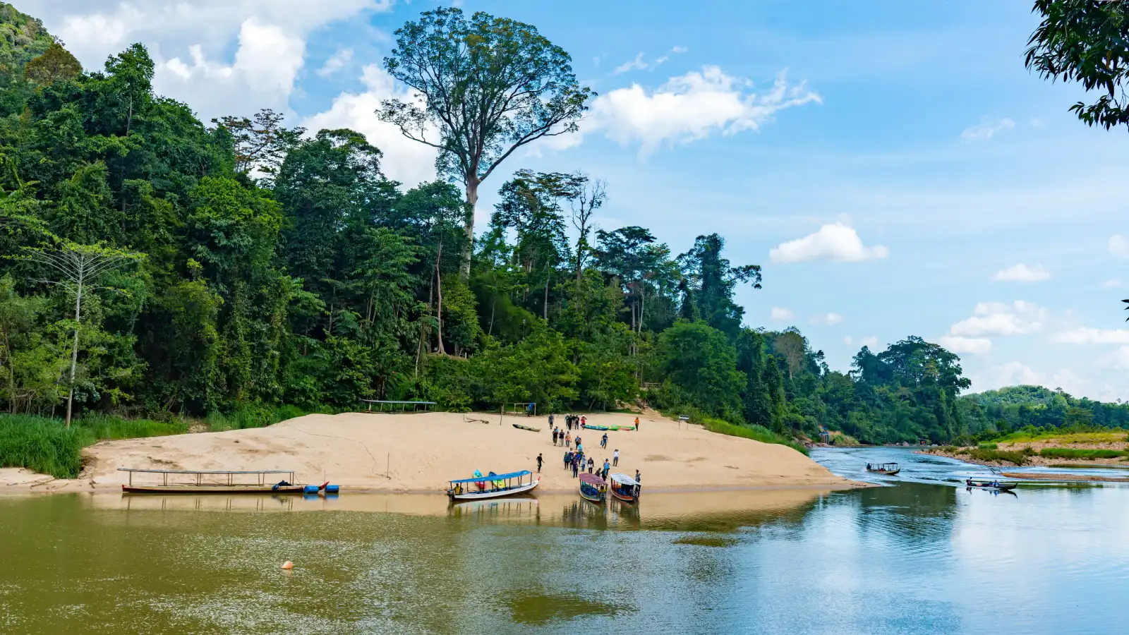 تامان تامان