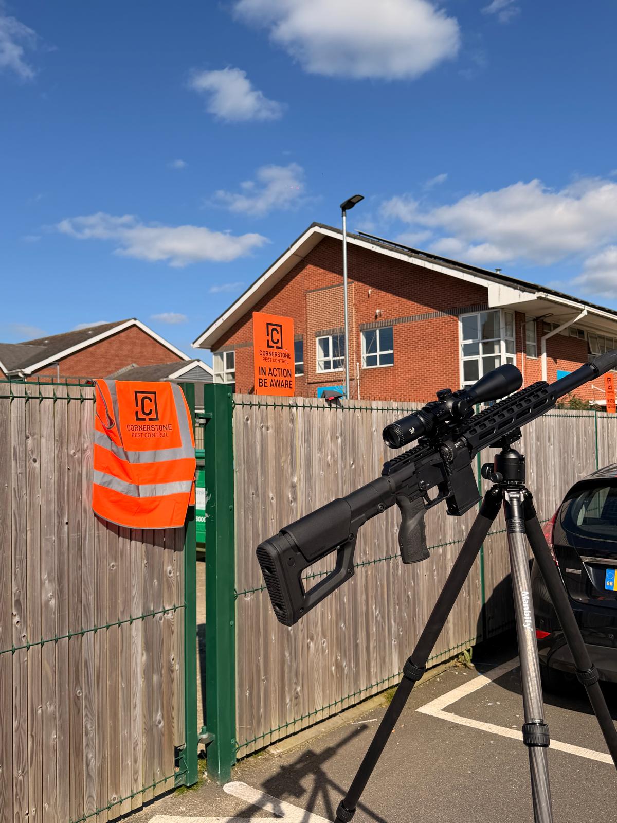 Professional pest control services
