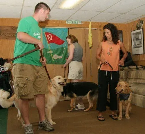 Dog obedience training in action with Gus in Milford, CT, photo 3