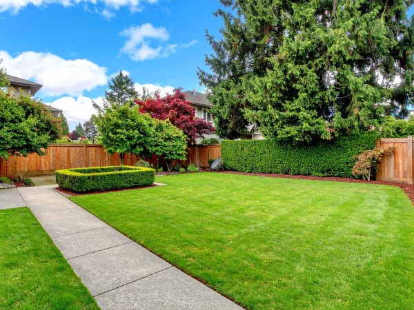 Clean green backyard with trees, fence, and walkway