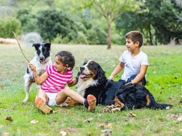 A young girl and boy sitting in a park with two dogs, one a large Bernese Mountain Dog resting on the grass and the other a black and white dog standing nearby.