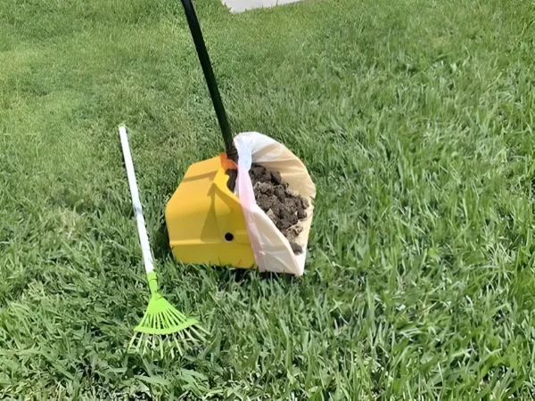Pooper scooper cleaning dog waste from a grassy lawn