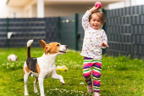 A young girl with a big smile holding a pink ball above her head while playing with a beagle dog in a grassy backyard.