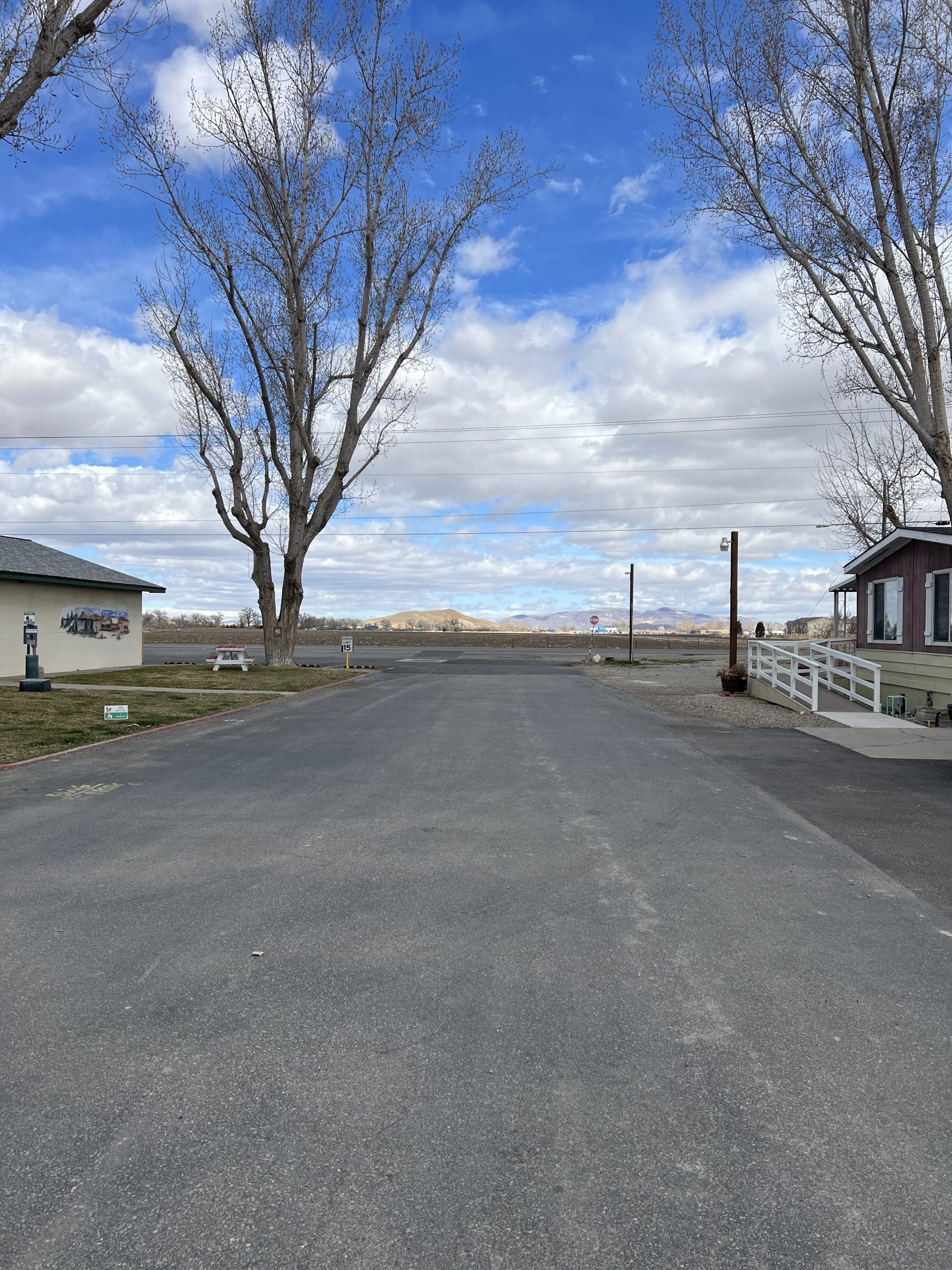 Mobile homes at Pioneer Mobile Home Ranch