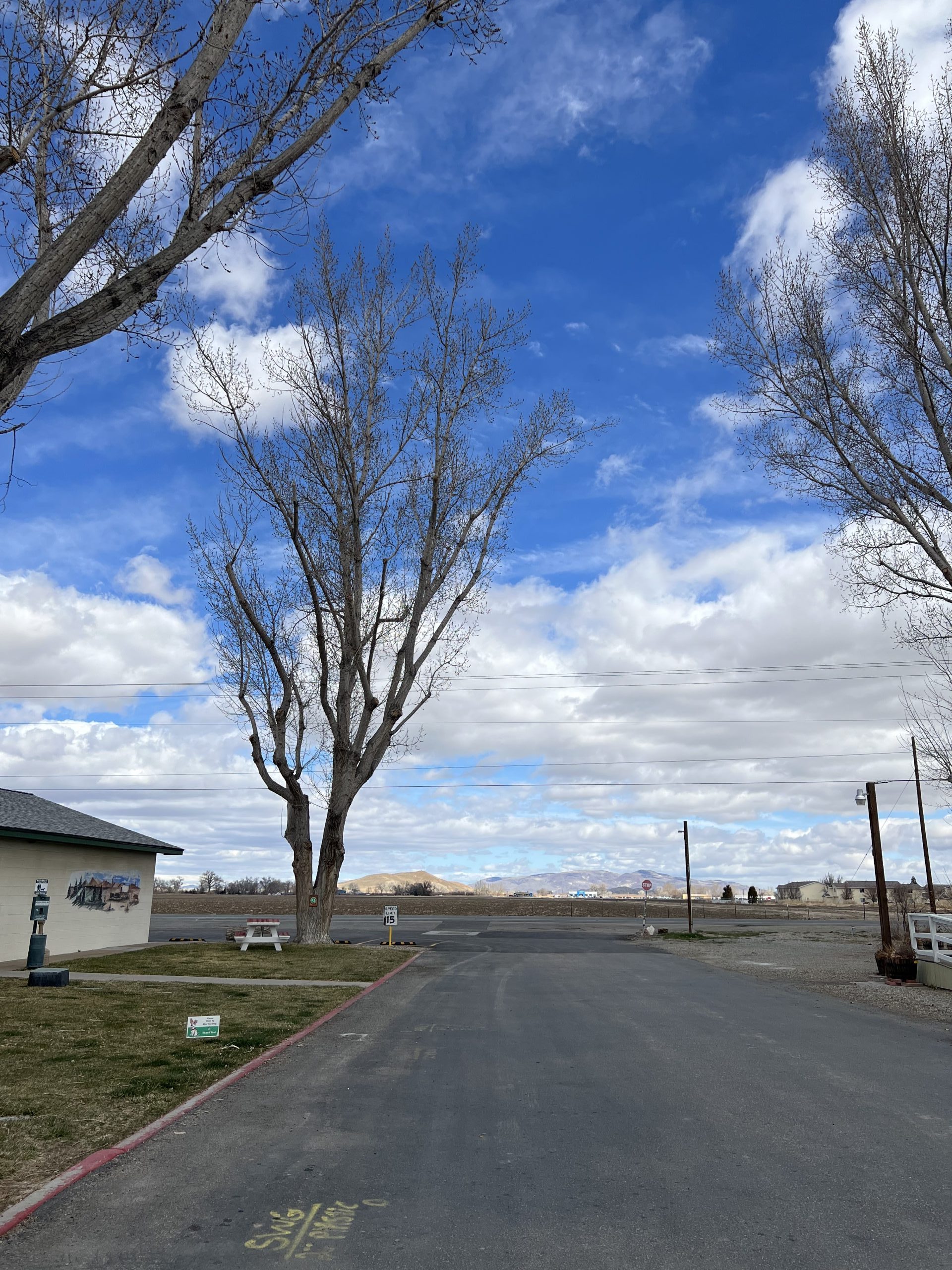 Mobile homes at Pioneer Mobile Home Ranch