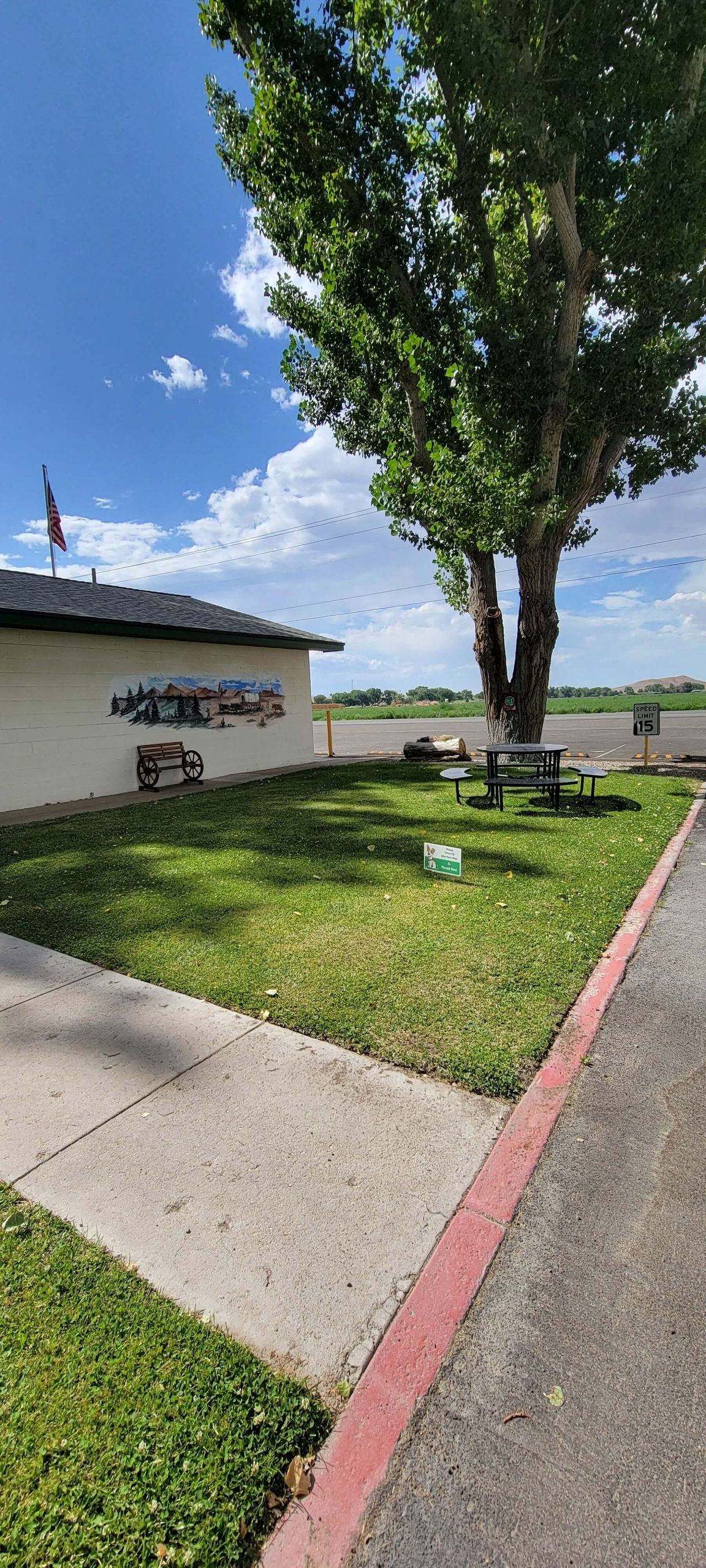 Mobile homes at Pioneer Mobile Home Ranch