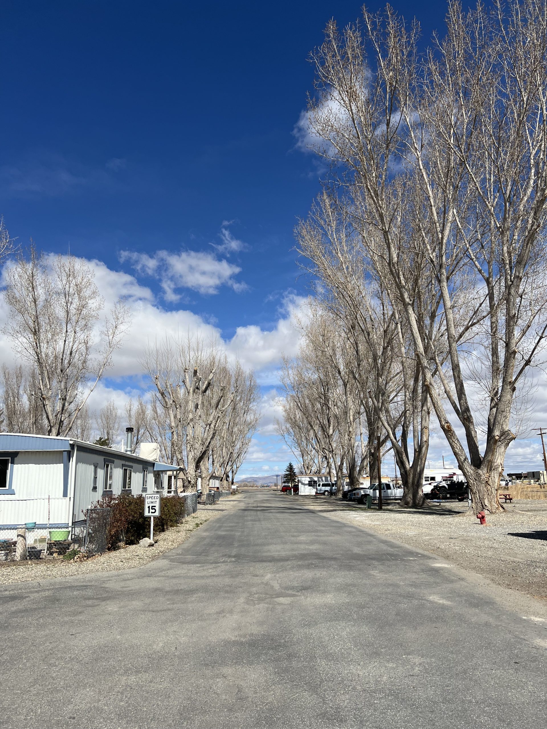 Mobile homes at Pioneer Mobile Home Ranch