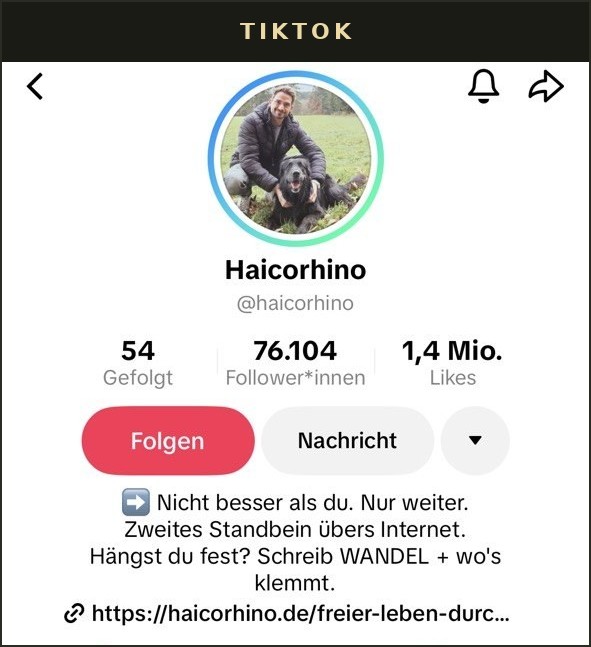 TikTok-Profil