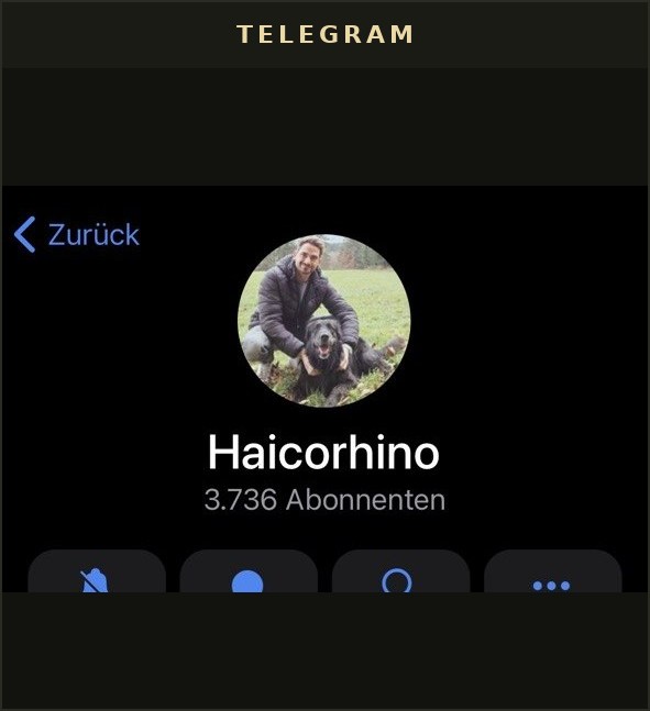Telegram-Kanal