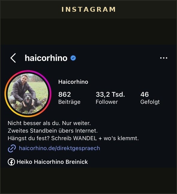 Instagram-Profil
