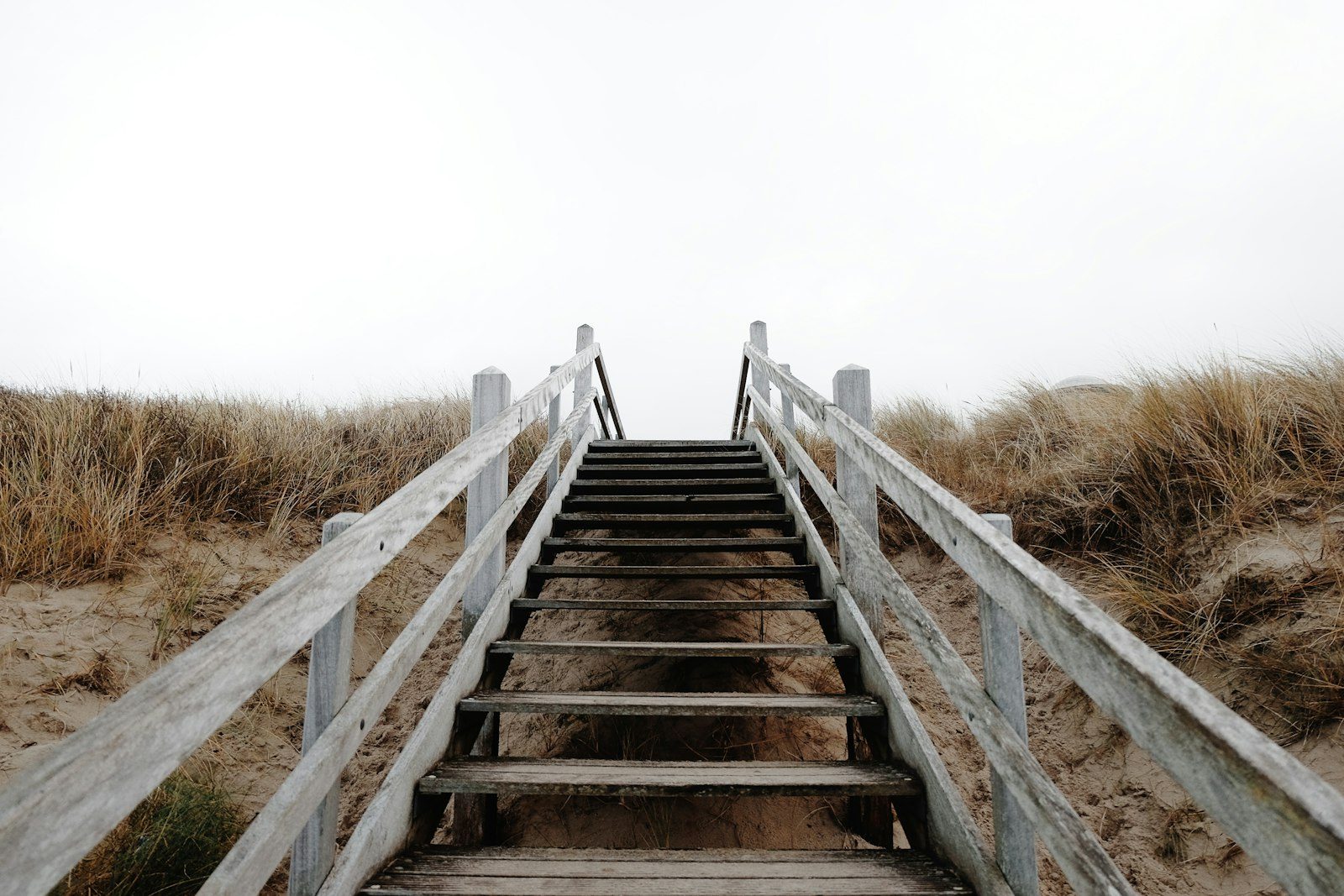 Wooden steps leading up between railings toward an open sky