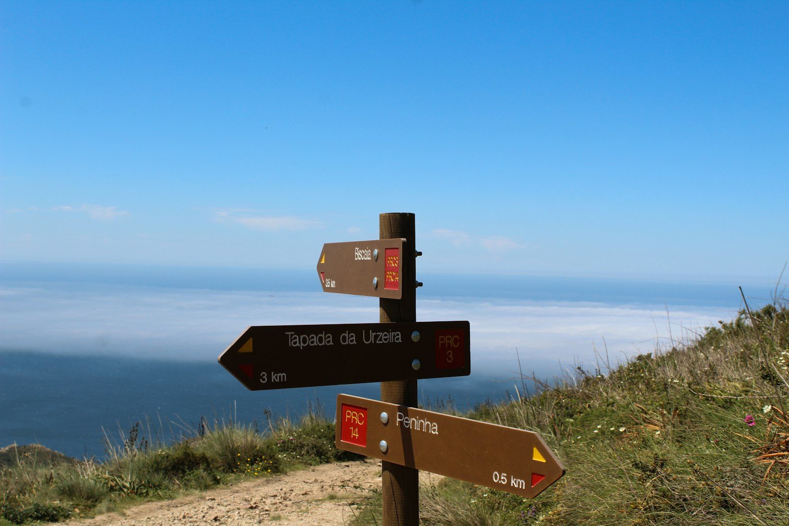 A wooden signpost with several direction arrows on a grassy clifftop above the sea
