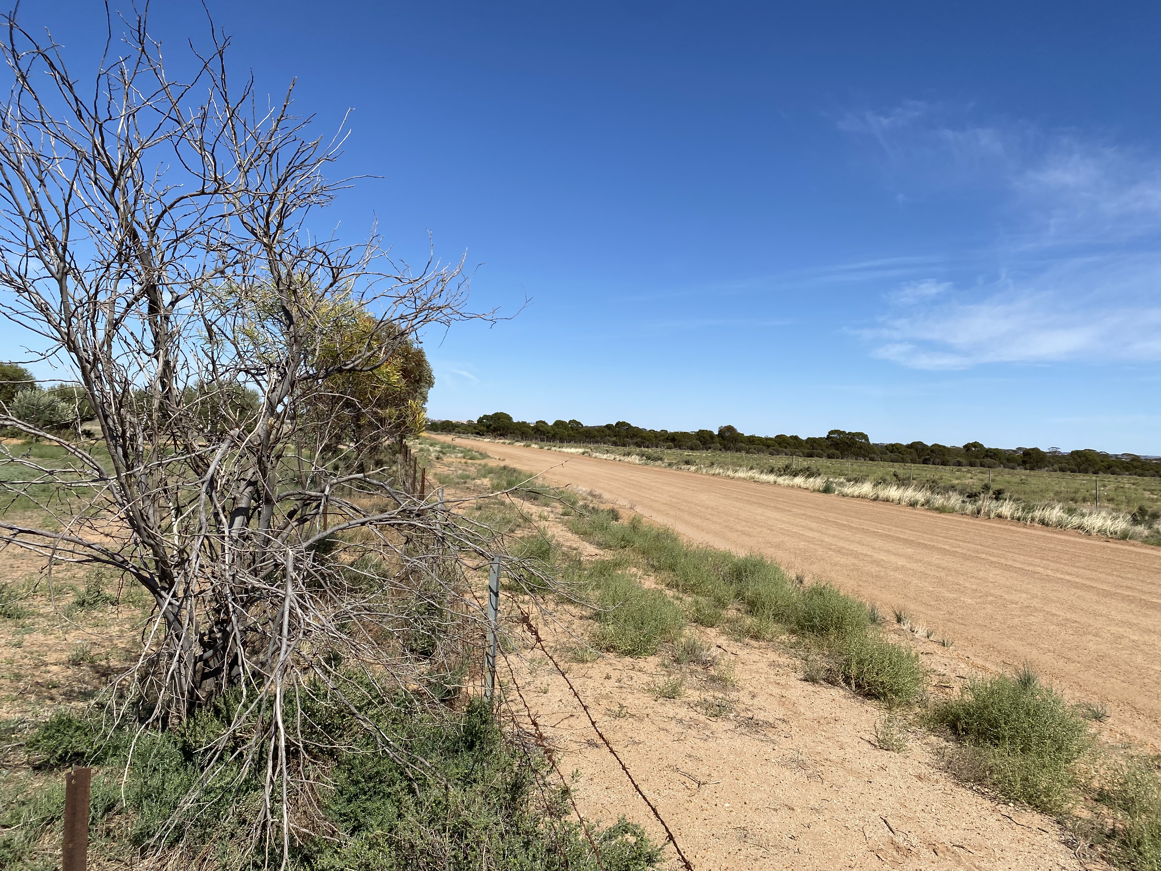 Wheatbelt grain silos Western Australia