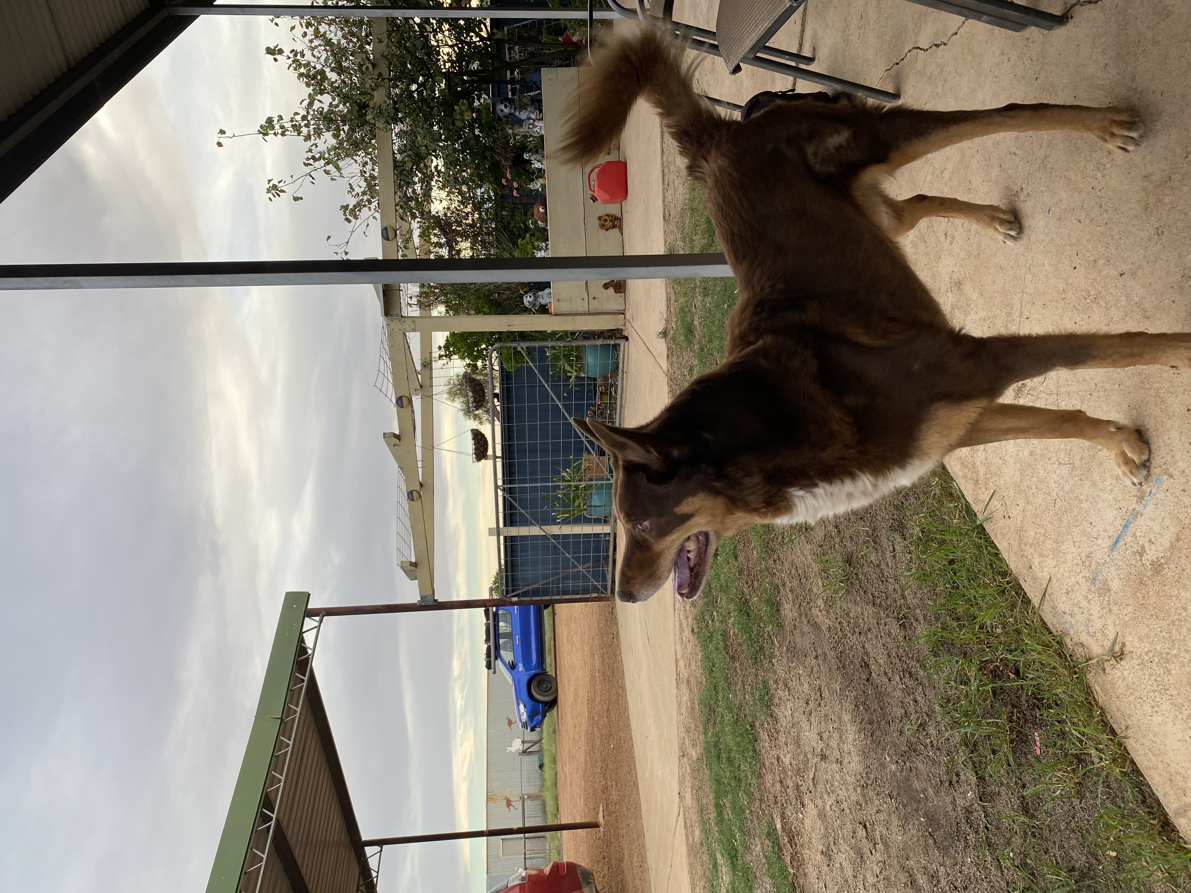 WA grain growing region