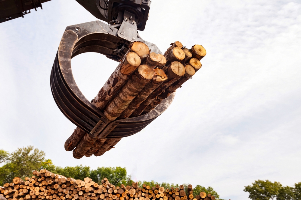 Tree Removal Services