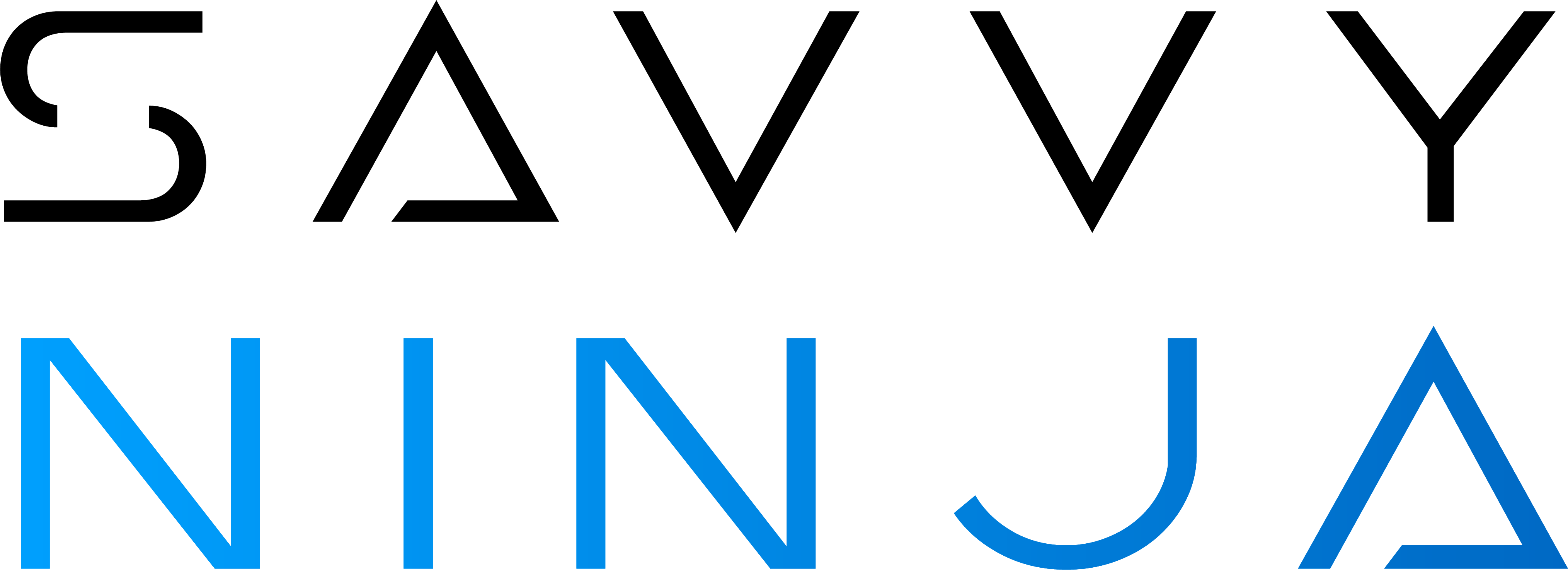 Welcome to Savvy Ninja | Digital Marketing Solutions, image size:4057x1474