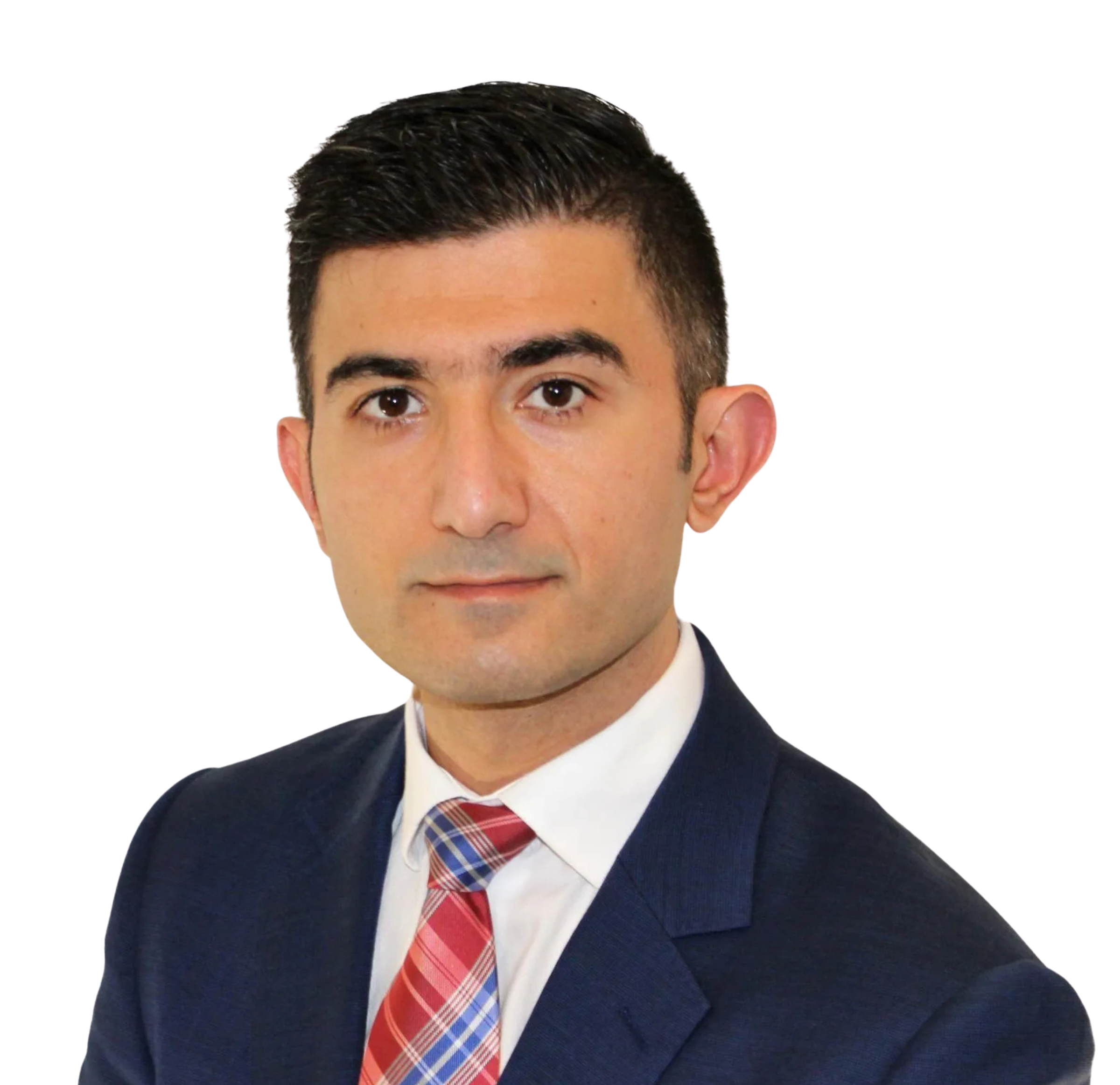 Mehdi S Davatgar