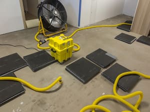 Odor Removal & Deodorization in West LA & South Bay