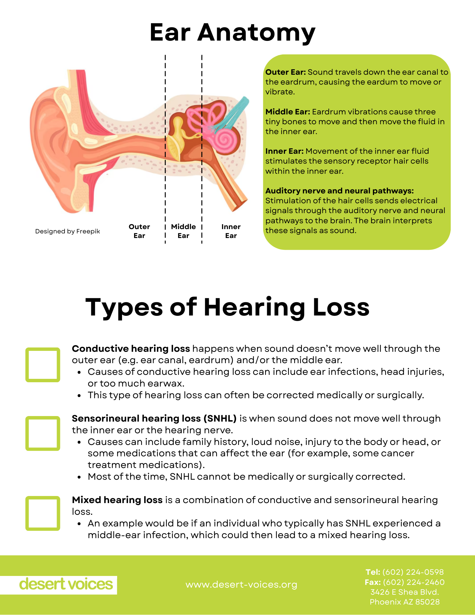 Ear Anatomy & Hearing Loss Checklist from Children Pediatric Audiology in Phoenix.