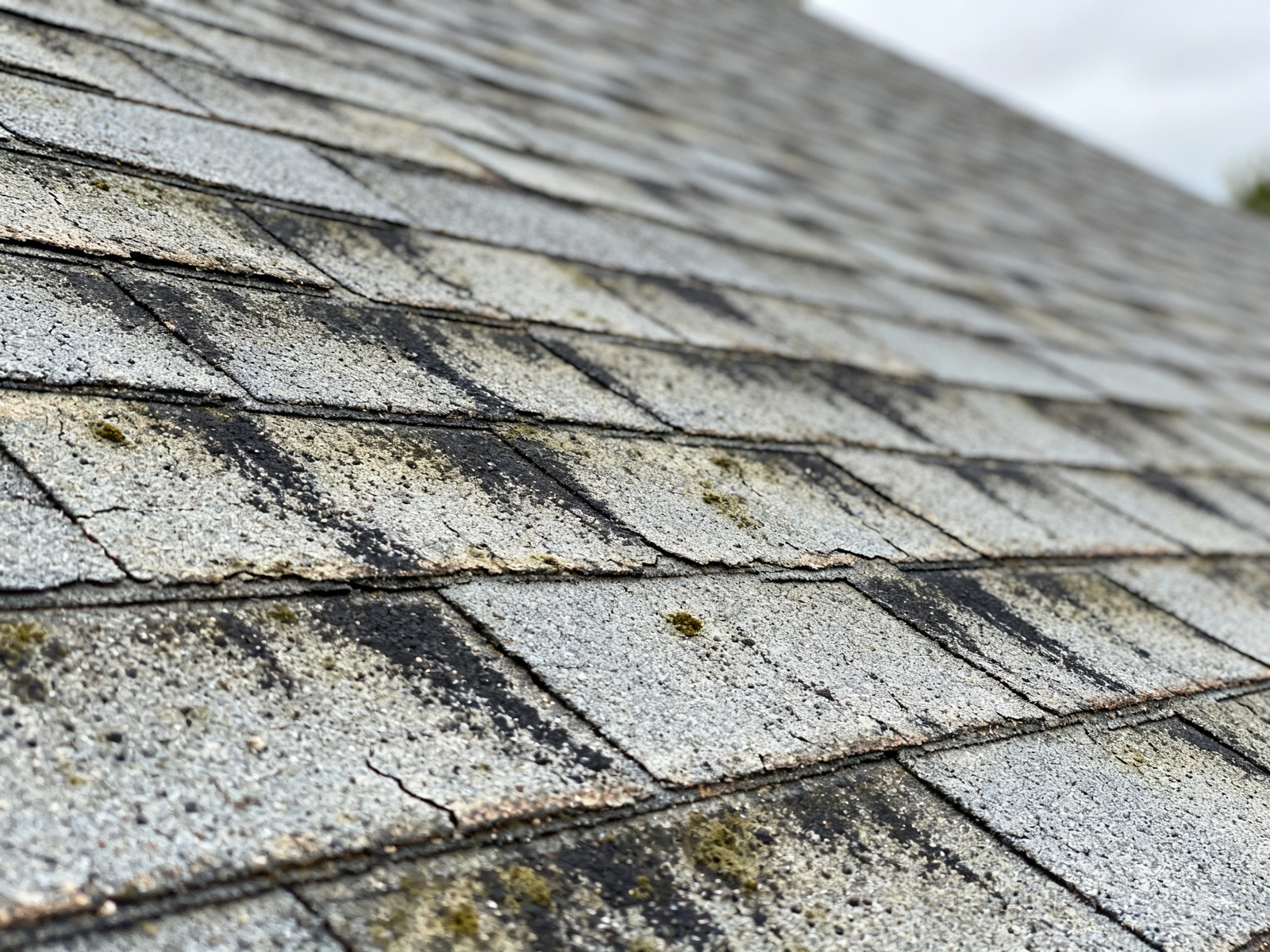 Faded, brittle asphalt shingles with algae streaks