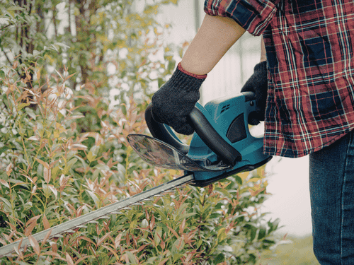  Hedge Cutting
