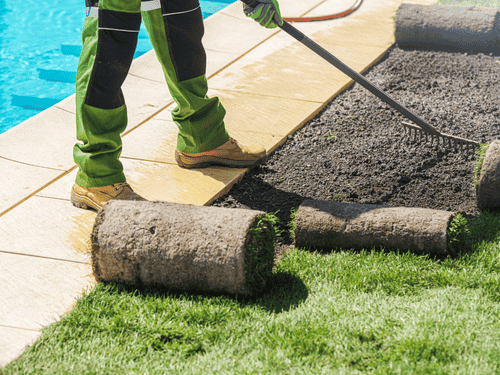 Turfing & Lawn Installation in Poole