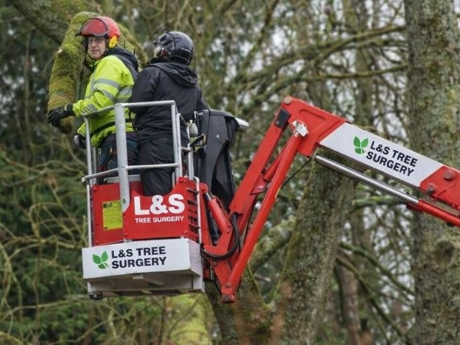 {{ custom_values.service_1 }} in {{custom_values.biz_area_1})