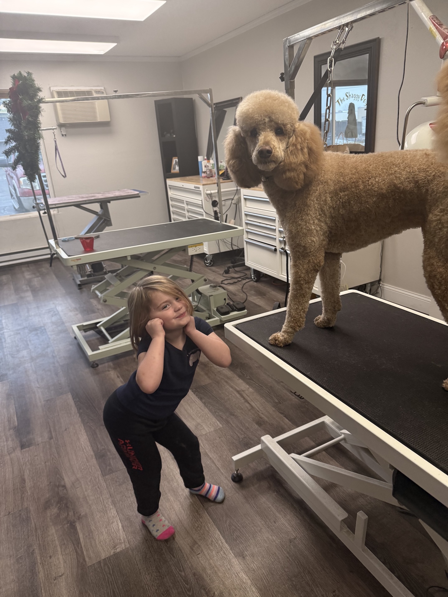 Sanitary Trim Kennewick