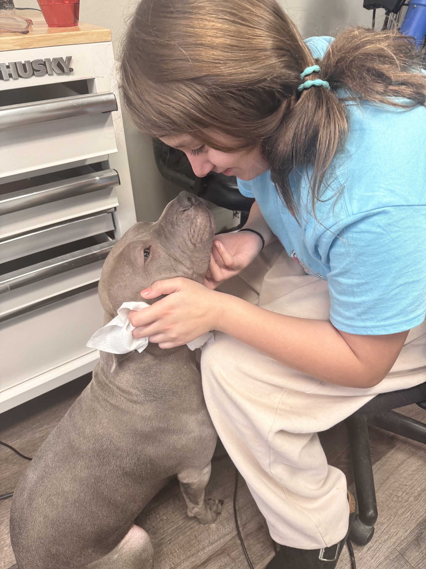 Dog Ear Cleaning Kennewick