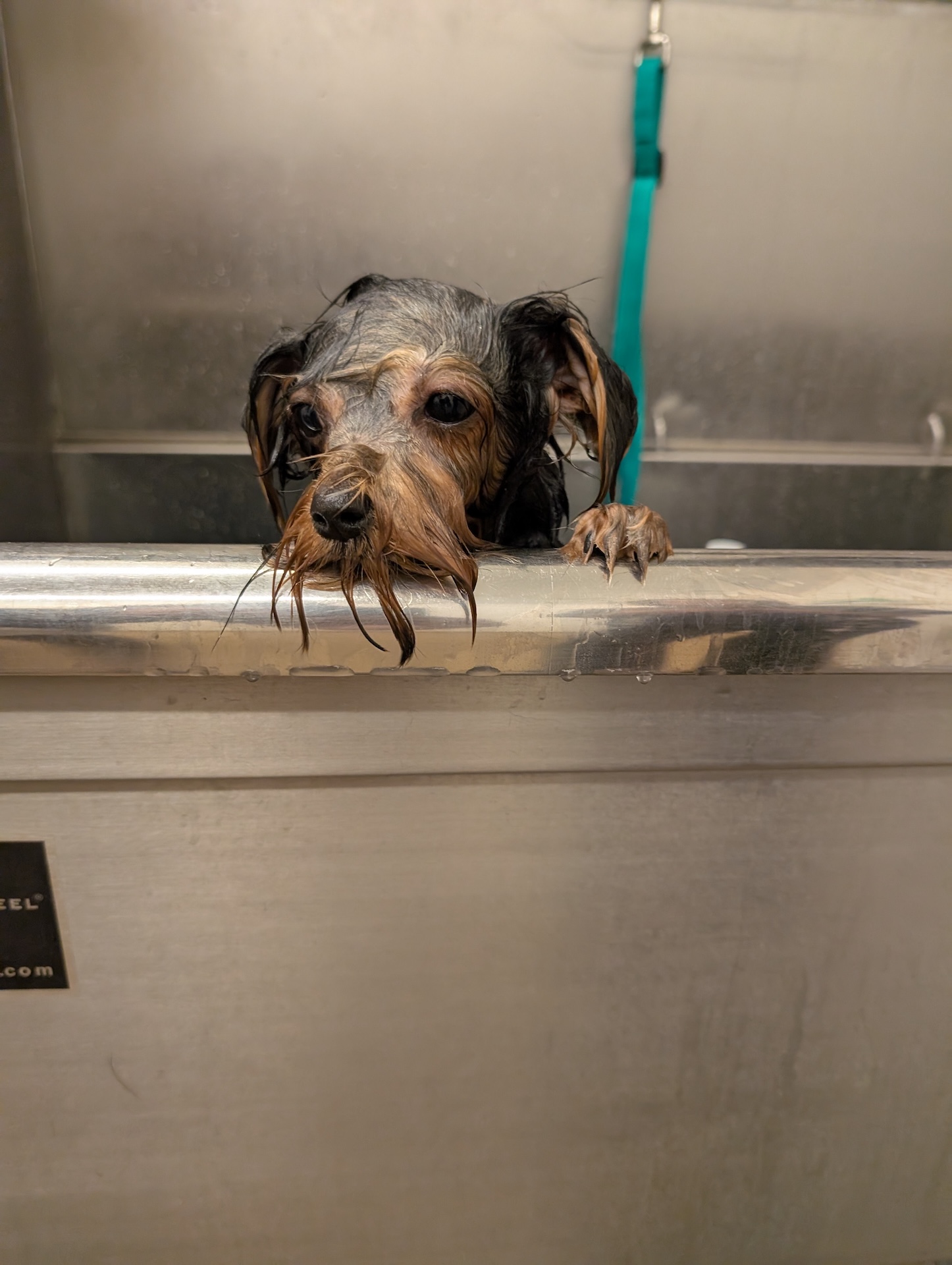 Nail Trimming Kennewick