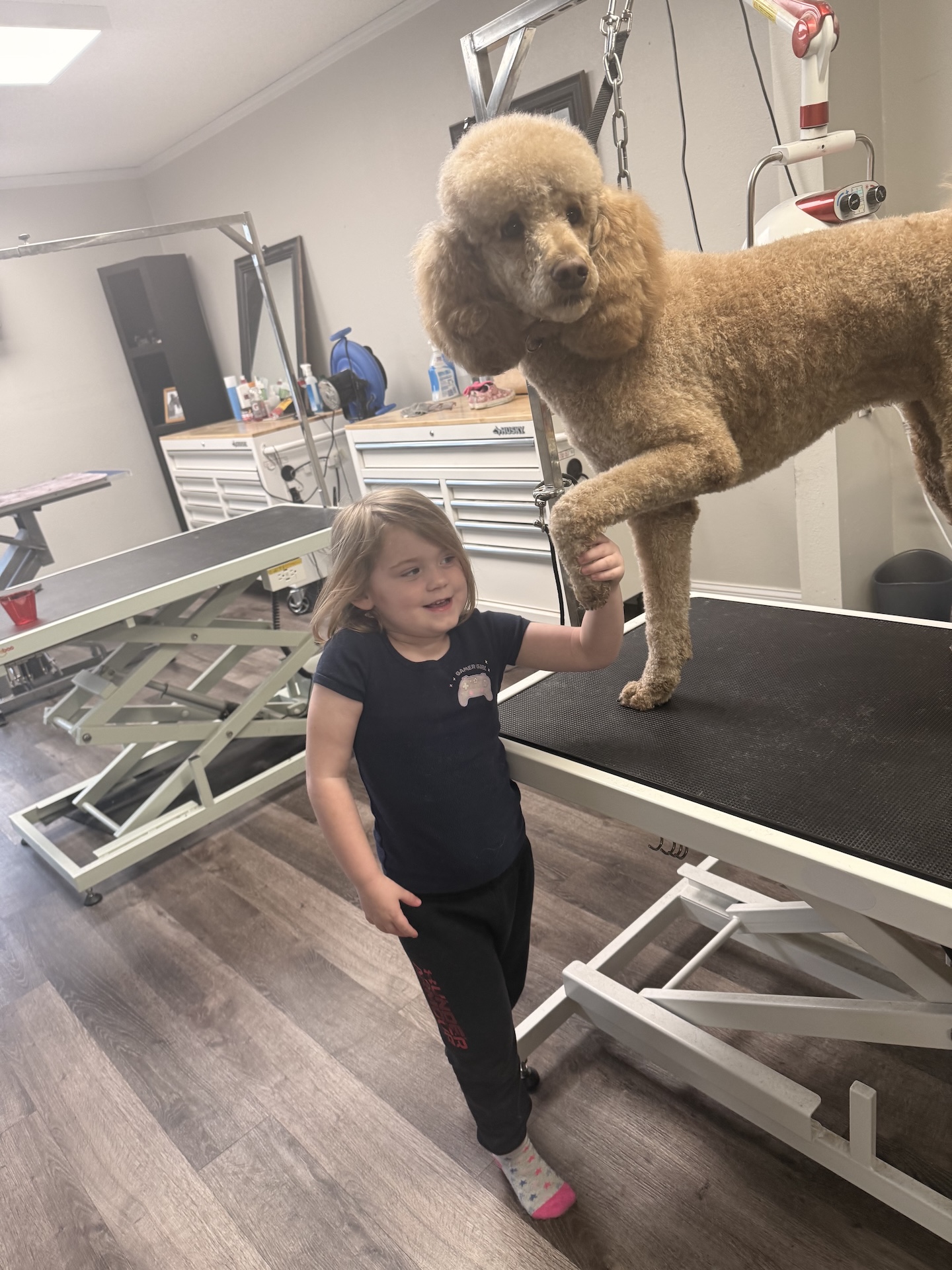 Richland Bath & Blow Dry