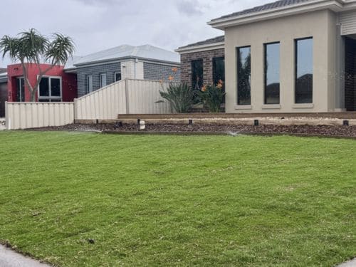 Natural Lawn Installation in Deer Park