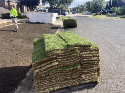 Deer Park Natural Lawn Installation