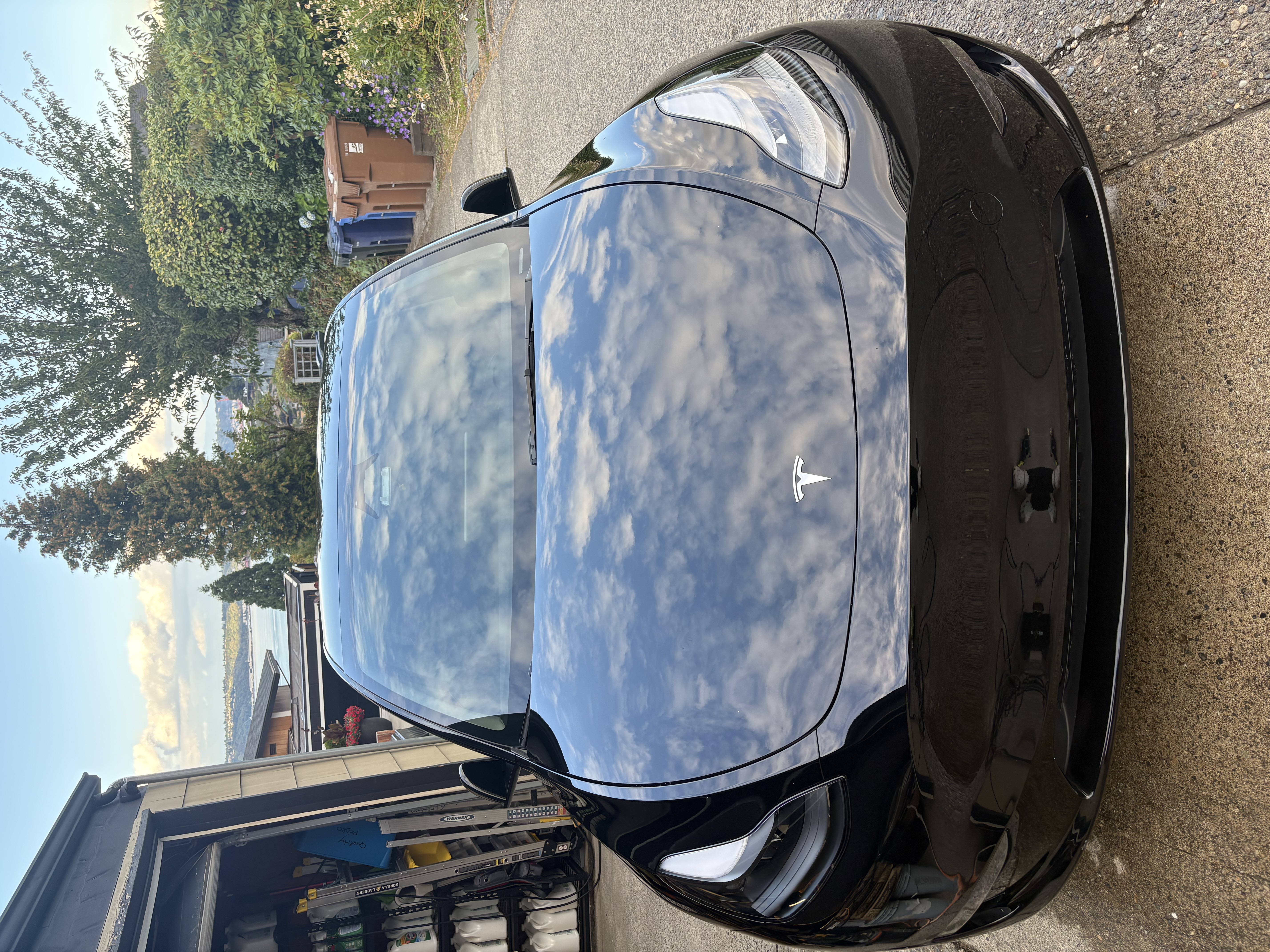 Tesla front end after professional exterior detailing