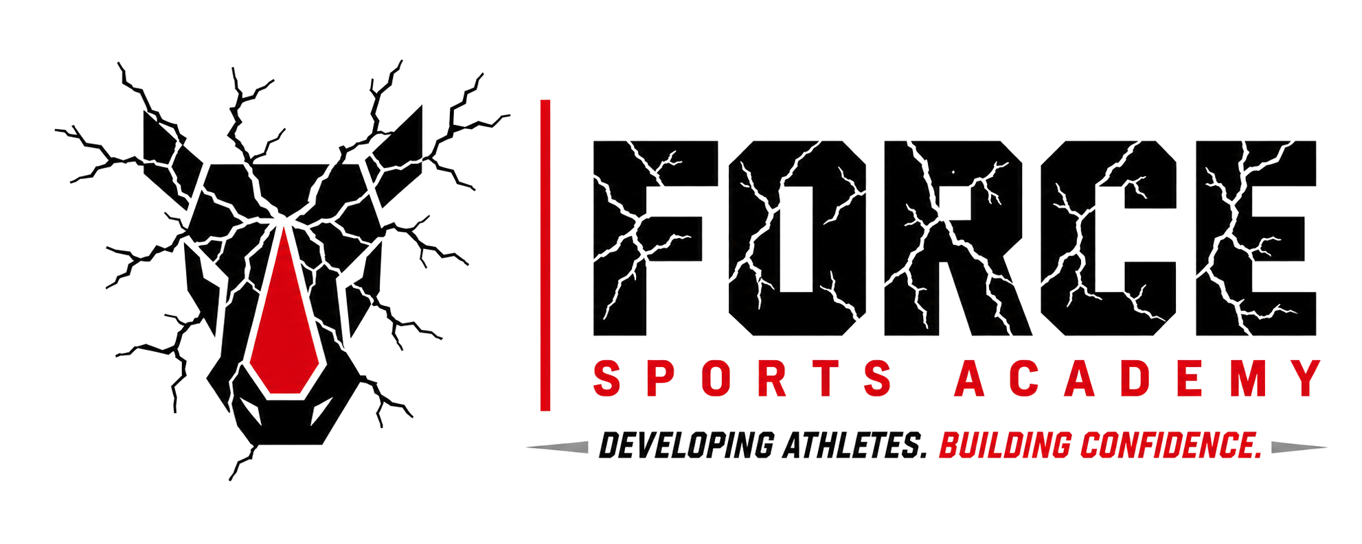 Force Sports Academy