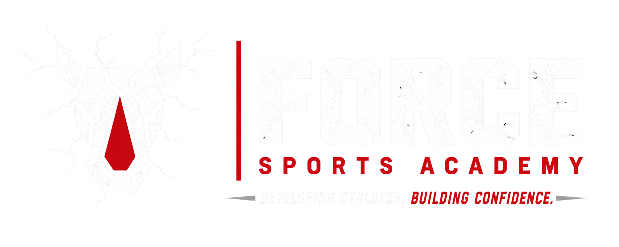 Force Sports Academy
