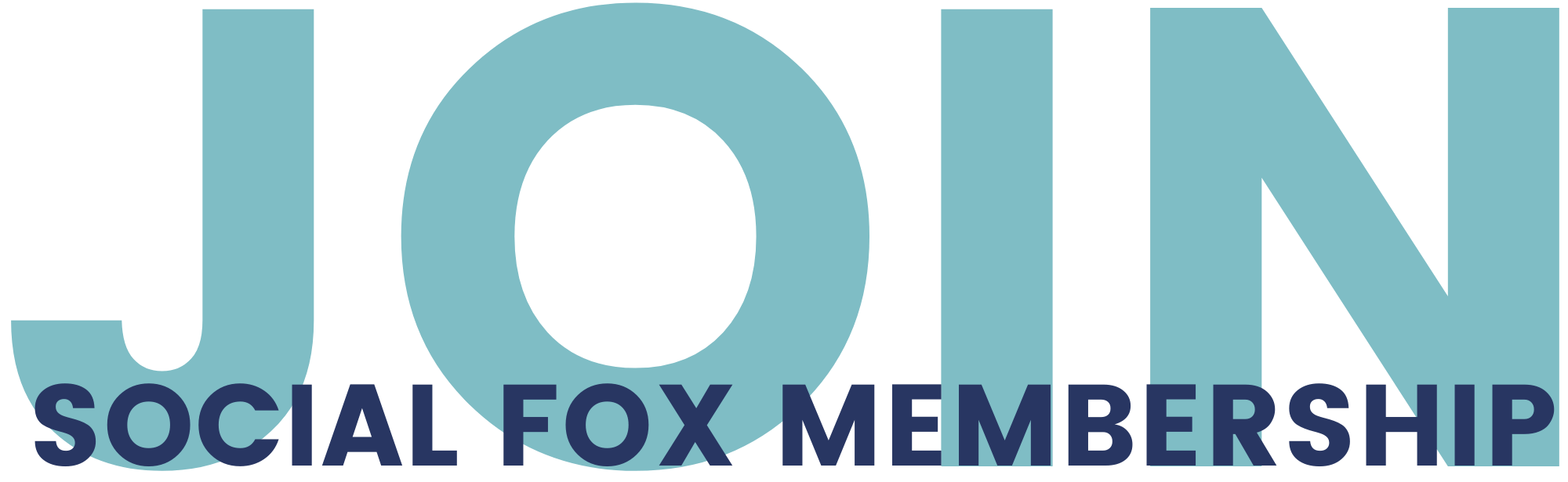 Go Social Fox 