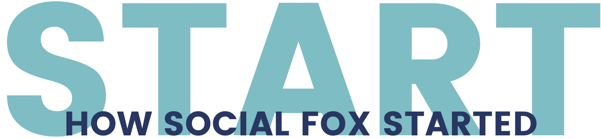 Go Social Fox 