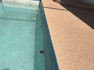 {{ custom_values.service_4 }} in {{custom_values.area_3})