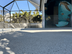 {{ custom_values.service_4 }} in {{custom_values.area_3})