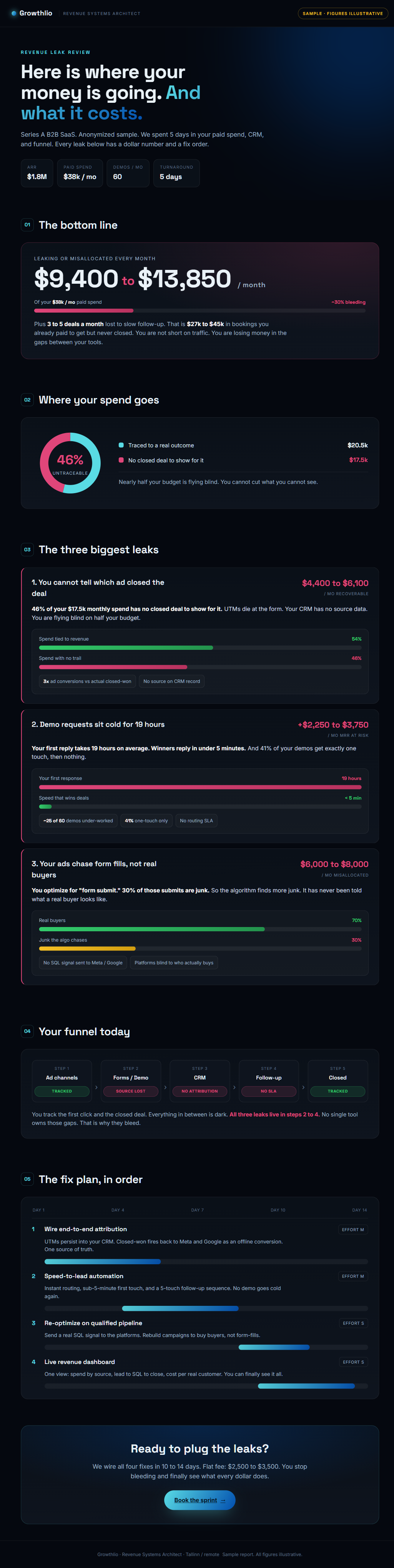 Sample Revenue Leak Review