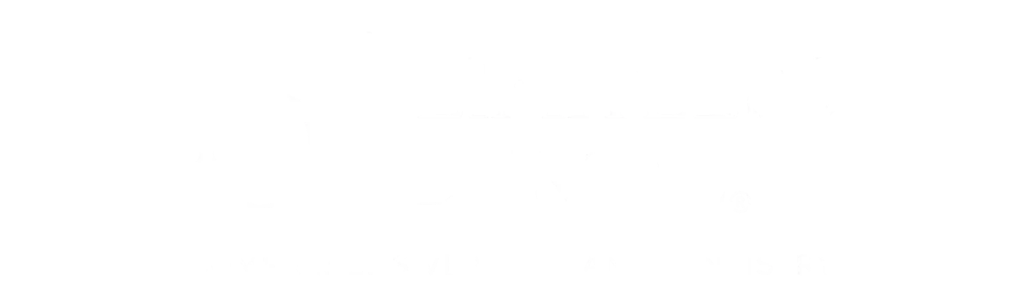 Limitless Dental Logo