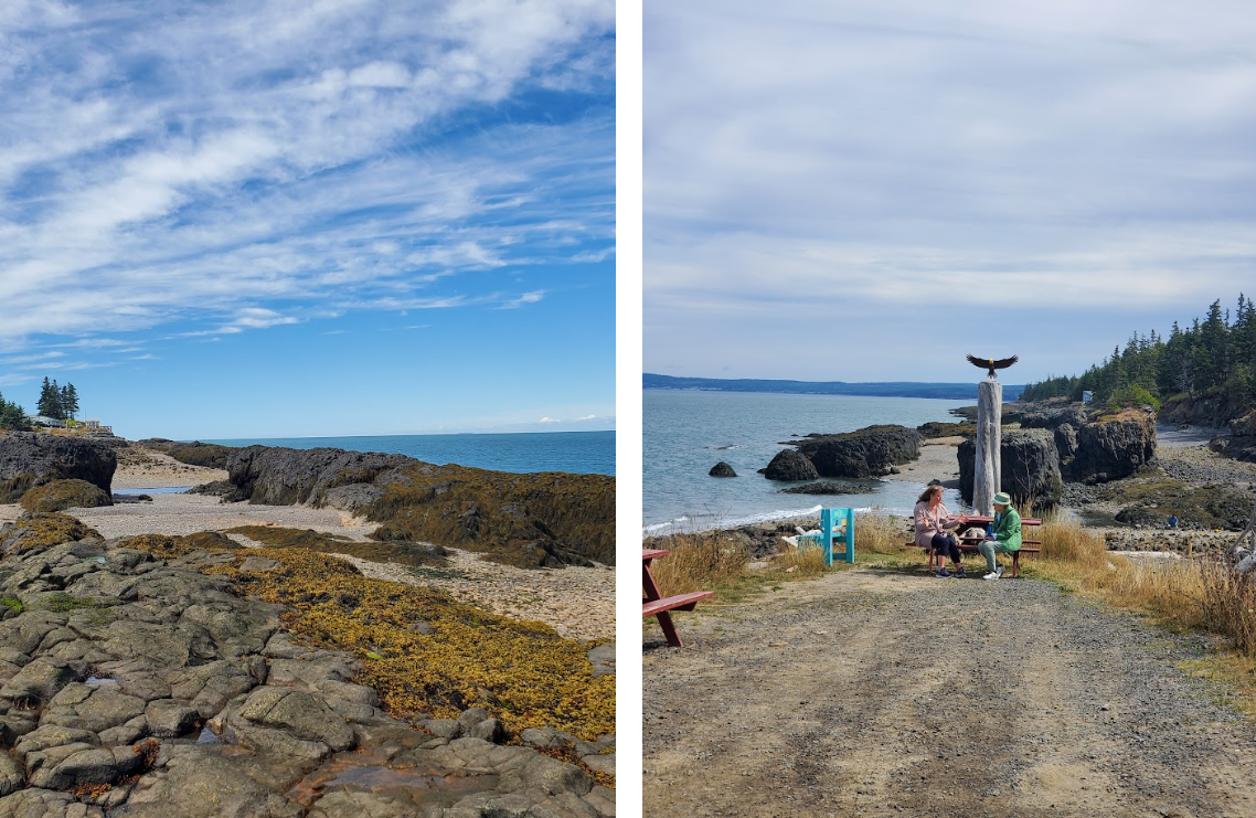 shorelines in baxter harbour