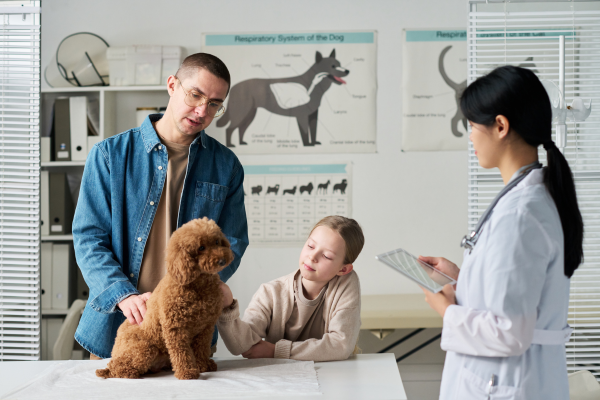 Family attending a calm veterinary visit with their dog, showing how positive clinic experiences can help pets feel more comfortable.