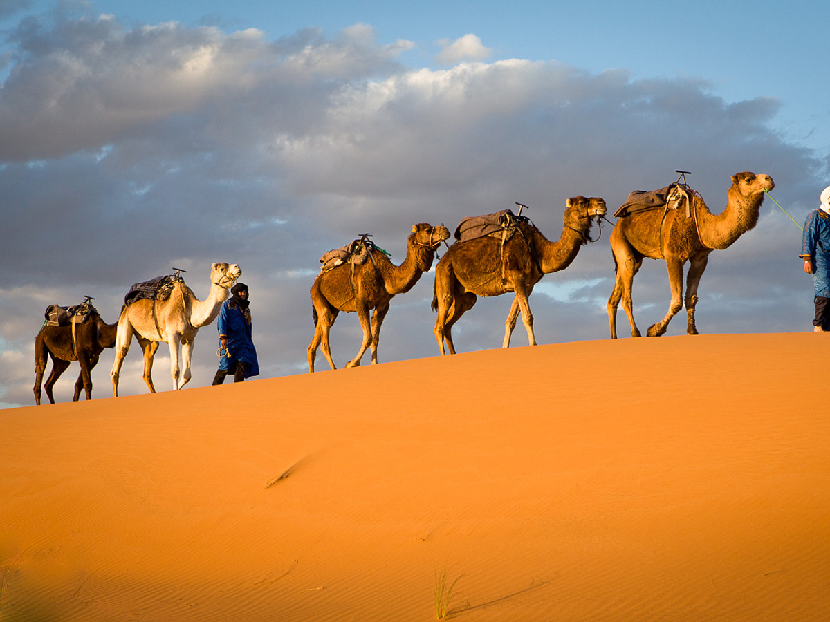 Caravana del desierto