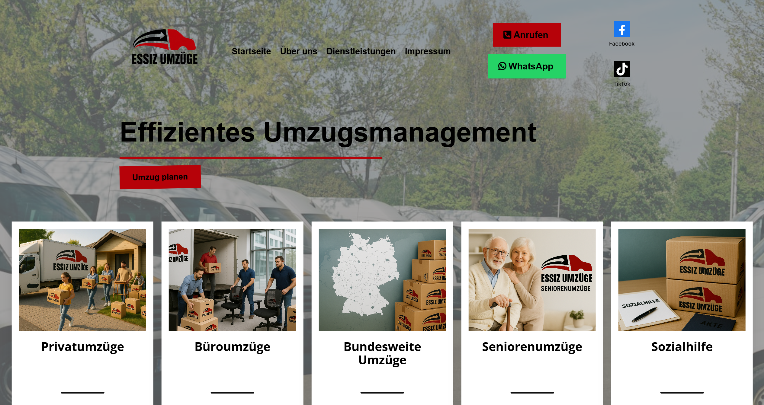 Screenshot einer Website von Essiz Umzüge