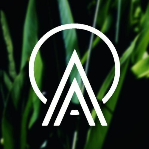 Amplify Logo